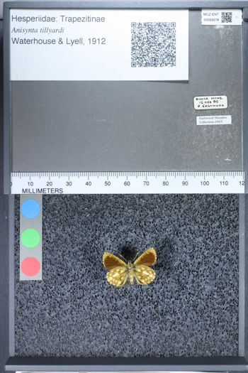 Media type: image;   Entomology 59578